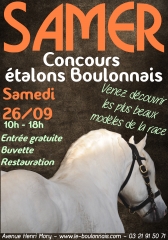 Concours des étalons 2015