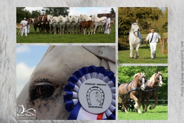 Journées Nationales du Cheval Boulonnais