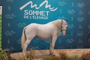 Sommet de l'élevage - Cournon