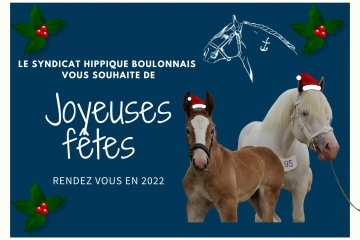 Joyeuses fêtes