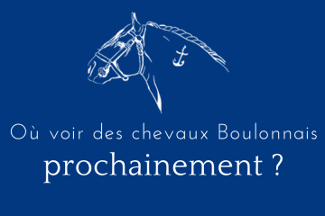 Où voir des chevaux boulonnais prochainement ?